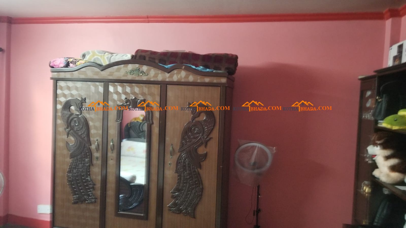 Single room available for rent in Gaushala for female near maiti Nepal